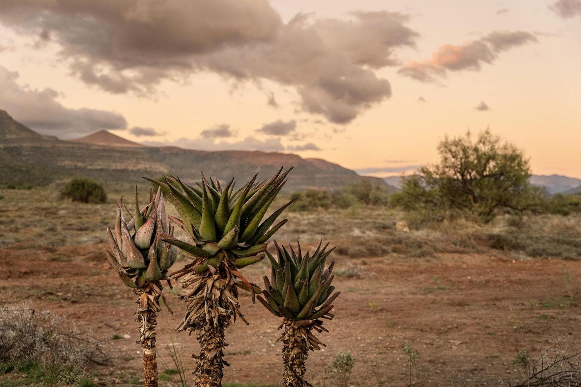 Samara Karoo Reserve Graaff-Reinet Екстериор снимка
