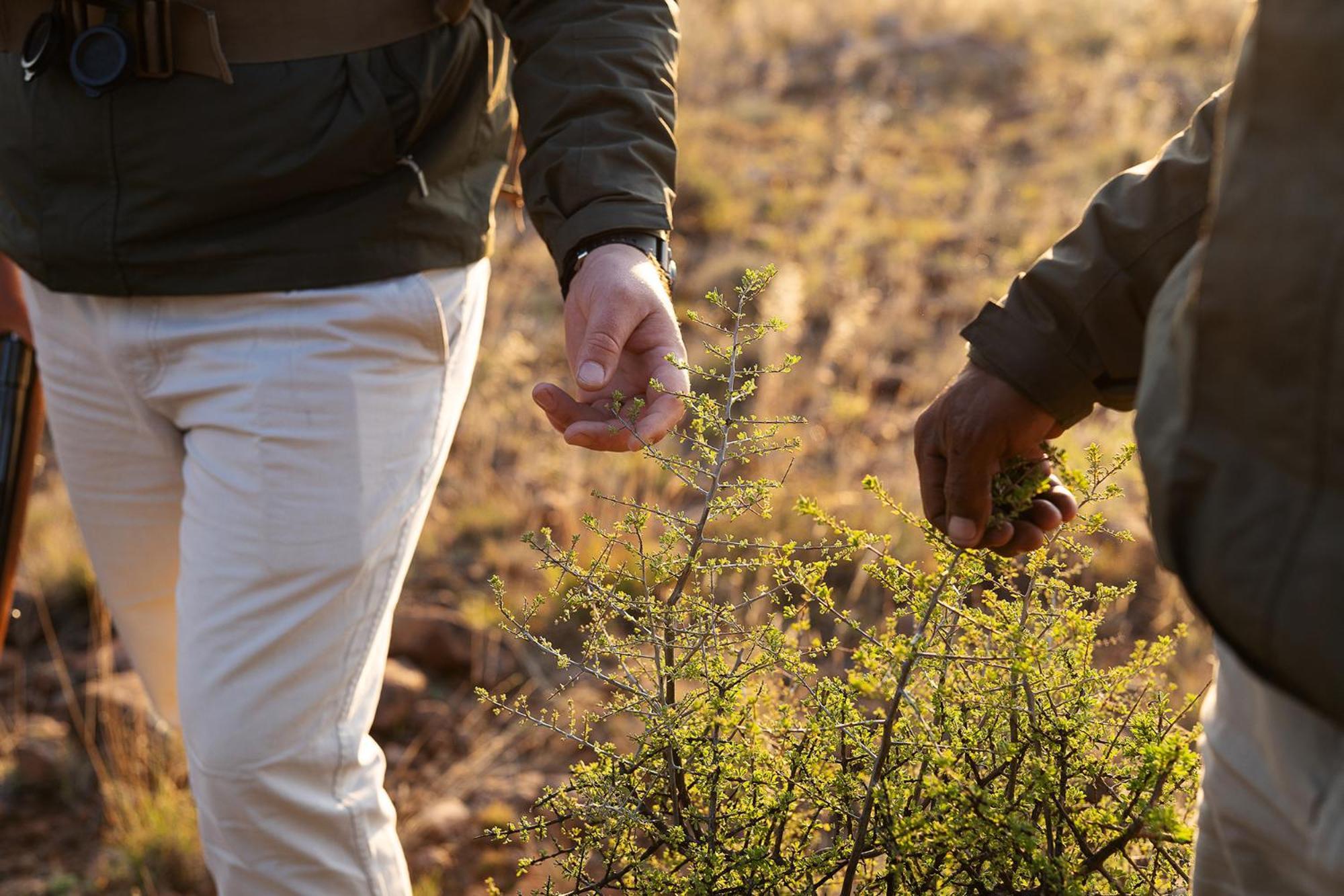 Samara Karoo Reserve Graaff-Reinet Екстериор снимка