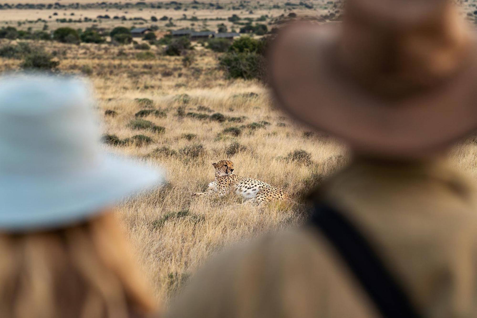 Samara Karoo Reserve Villa Graaff-Reinet Екстериор снимка